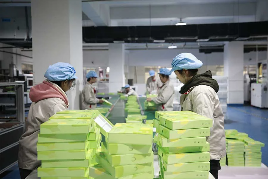 Printed packaging being organised for packing